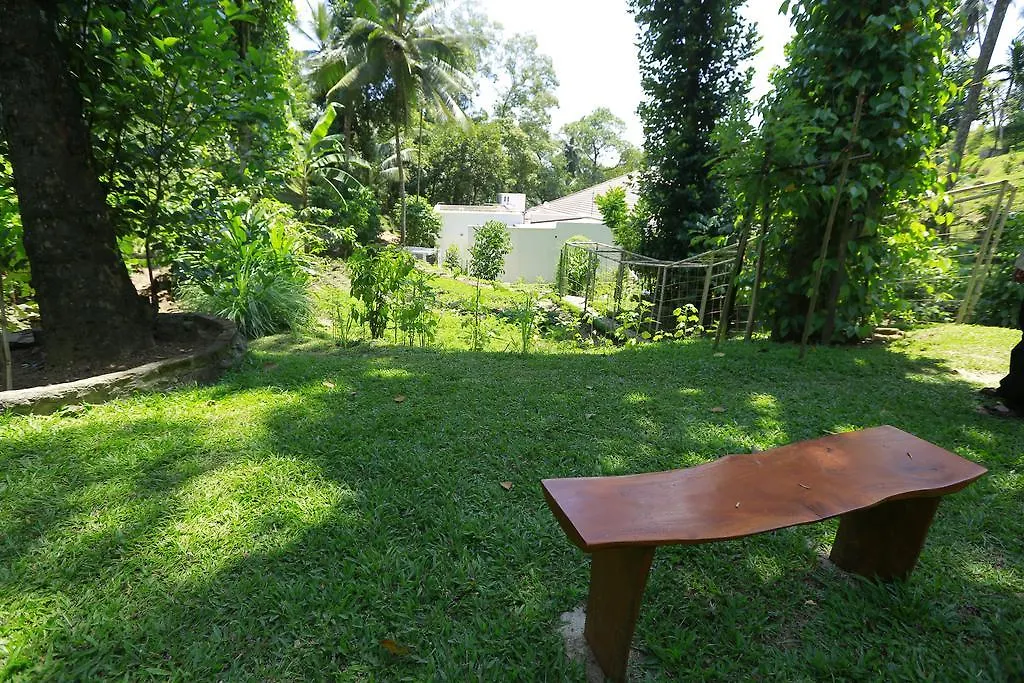 Homestay szállás The Sanctuary Boutique Bungalow Kandy Srí Lanka